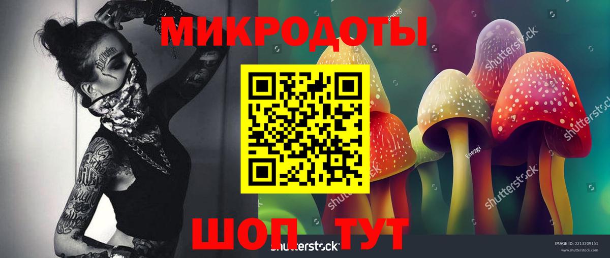 Псилоцибиновые грибы ЛСД Острогожск