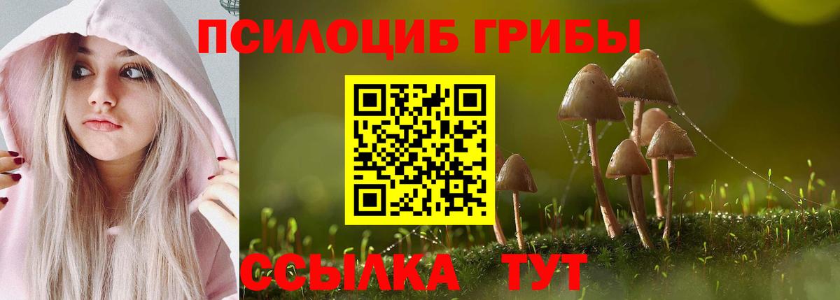 Острогожск  Псилоцибиновые грибы Psilocybine cubensis  Вход с VPN 
